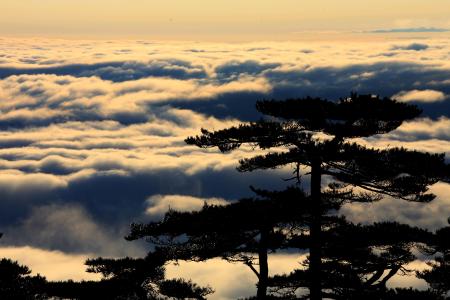 雨后黄山“观海”