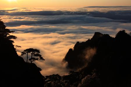 雨后黄山“观海”