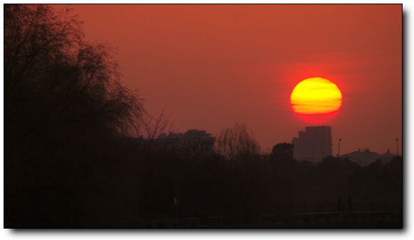 杭州迎来艳阳春日 直击夕阳落日景