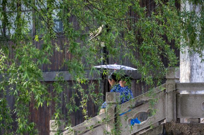 沙家浜，没想到你是这样文艺气质的芦苇荡！