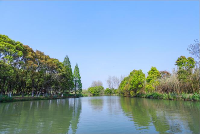 行走沙家浜，慢游芦苇荡，遇见惬意美