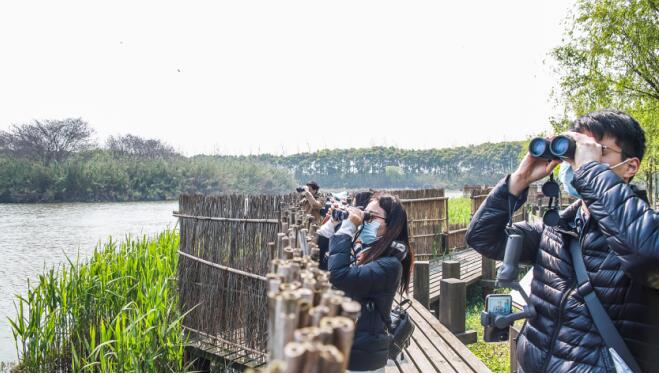 行走沙家浜，慢游芦苇荡，遇见惬意美