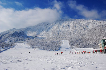 冬季冰雪体验之旅 撒欢在国内四大浪漫雪场