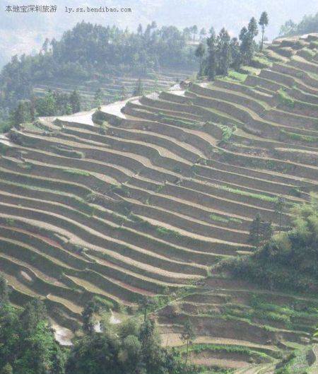 湖湘大地风景独好 跟随电影镜头寻找别样风情