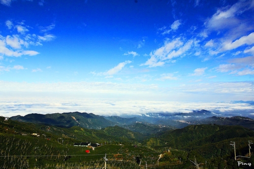 明信片上的绝美风景 仙境般的台湾大仑山观光茶园