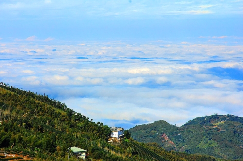 明信片上的绝美风景 仙境般的台湾大仑山观光茶园