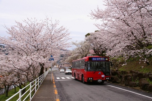 邂逅一场浪漫樱花 日本关西赏樱攻略