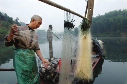 古城竹海已泛青翠 相约湖南洪江的无垠花海