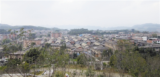 1月19日上午,合山市人民政府和来宾市发展委员会联合在 广西自治