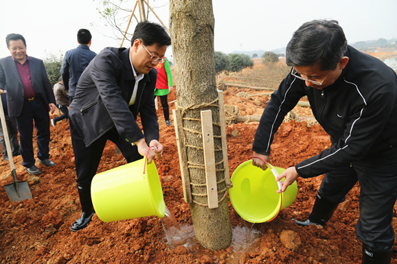 湖国家湿地公园举行义务植树活动:让植绿