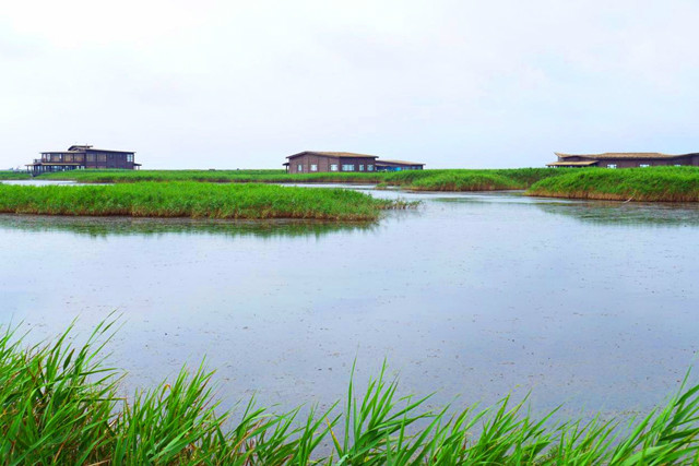 《中国沿海湿地保护绿皮书》—十块最值得关注的滨海湿地