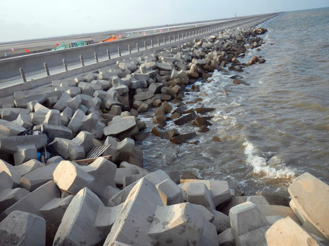 《中国沿海湿地保护绿皮书》—十块最值得关注的滨海湿地