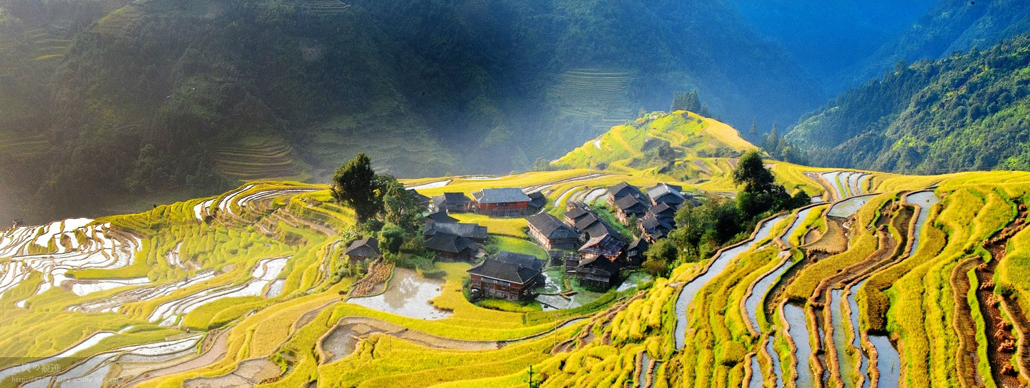 金秋九月，稻浪翻滚--贵州大山里 梯田美如画