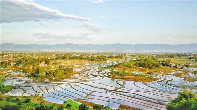 重庆：让小微湿地成为乡村振兴的“点睛之笔”_最新林业信息